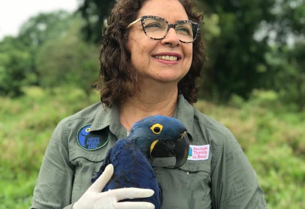 Instituto Arara Azul - Neiva Guedes
